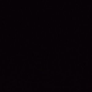 Meet your Posher, Ellen